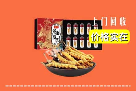 文山广南县回收虫草