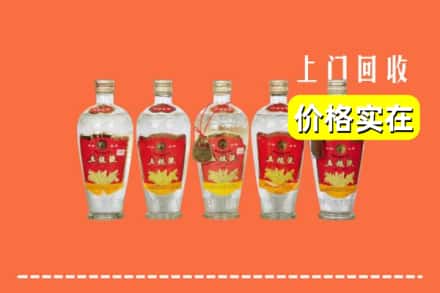 诚信求购:文山广南县高价回收老五粮液